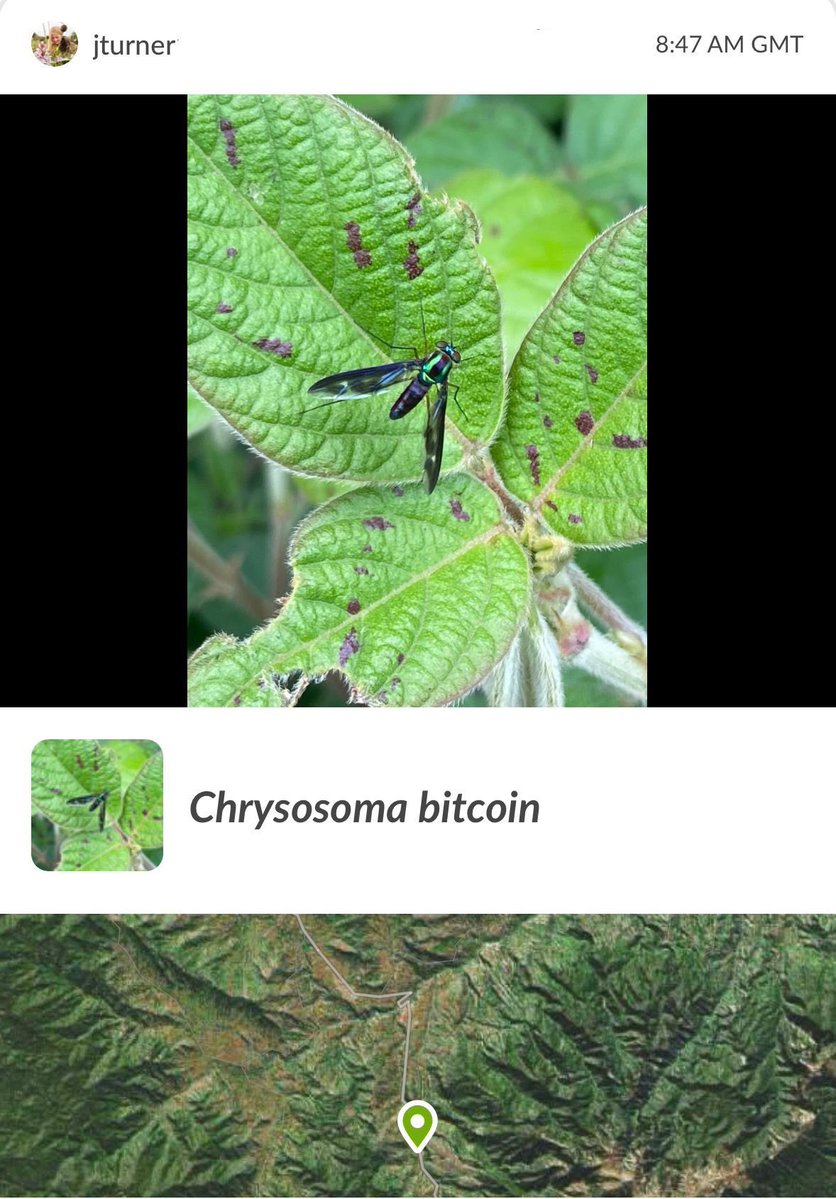 Dr Juliet Turner tweet media