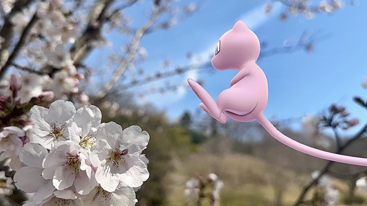 わらび tweet media