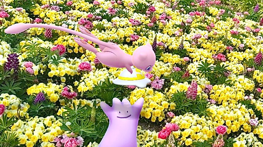 わらび tweet media