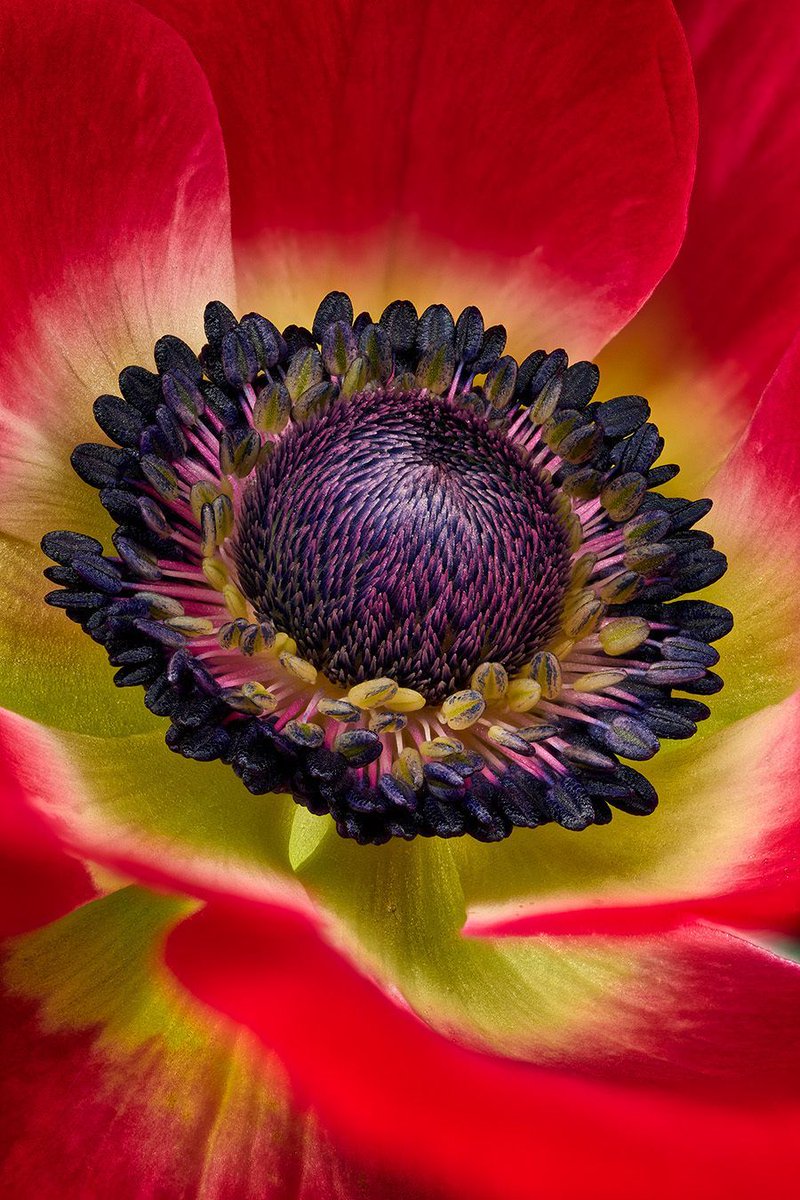 Joey Terrill tweet media