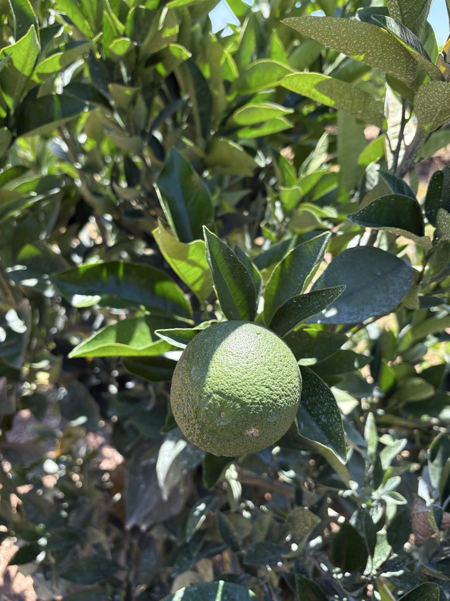 Agro Connection tweet media