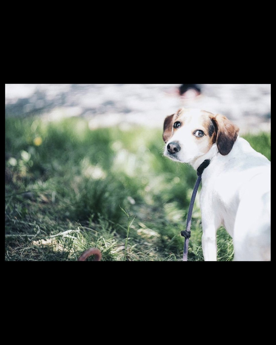 さとうコージィ COSYDESIGN Inc. tweet media