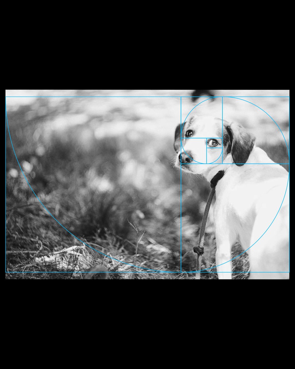 さとうコージィ COSYDESIGN Inc. tweet media