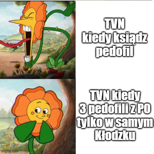 Mateusz Janiczek 🇵🇱 tweet media