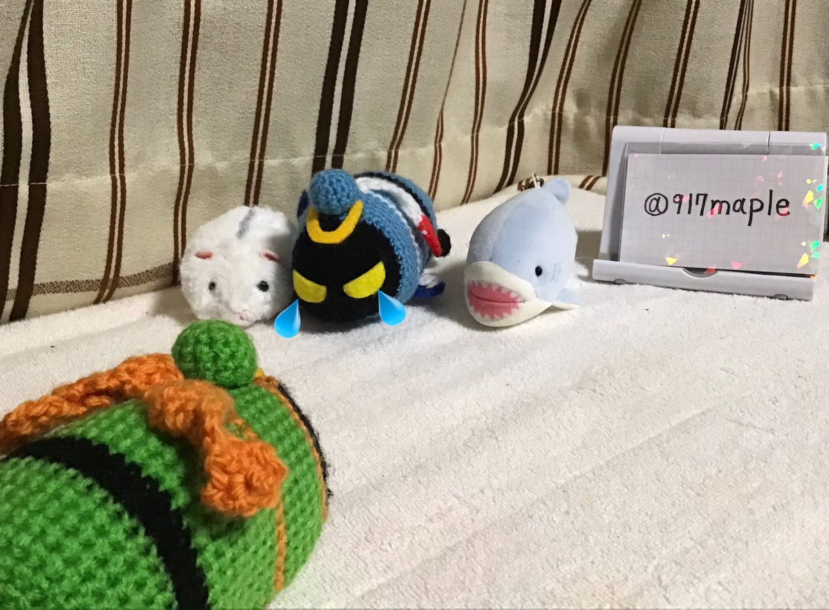 メイプル tweet media