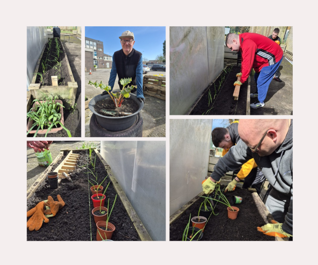 stepscic's tweet photo. Exciting gardening update! This season, we’re mixing tradition with experimentation. We’ve just planted peas and beans to climb up our tepee structure, potatoes in our over the ground towers and onions and rhubarb are getting settled in too. Can’t wait to watch everything grow! https://t.co/Bh9sKHOOfK