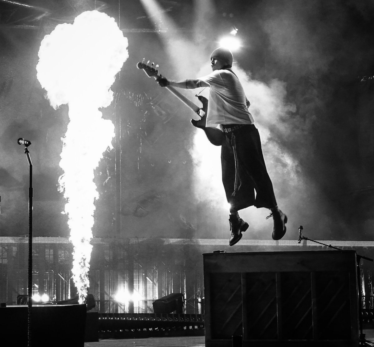 Mooooy Death Fan Club tweet media