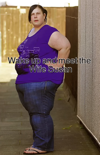 Wil Zetpil tweet media