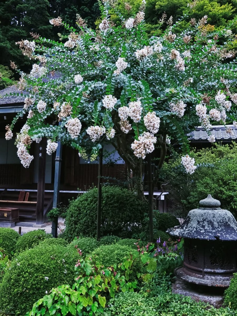 adharshksk7's tweet photo. -武汉spa🍄🦮 https://t.co/e3srFXj2un