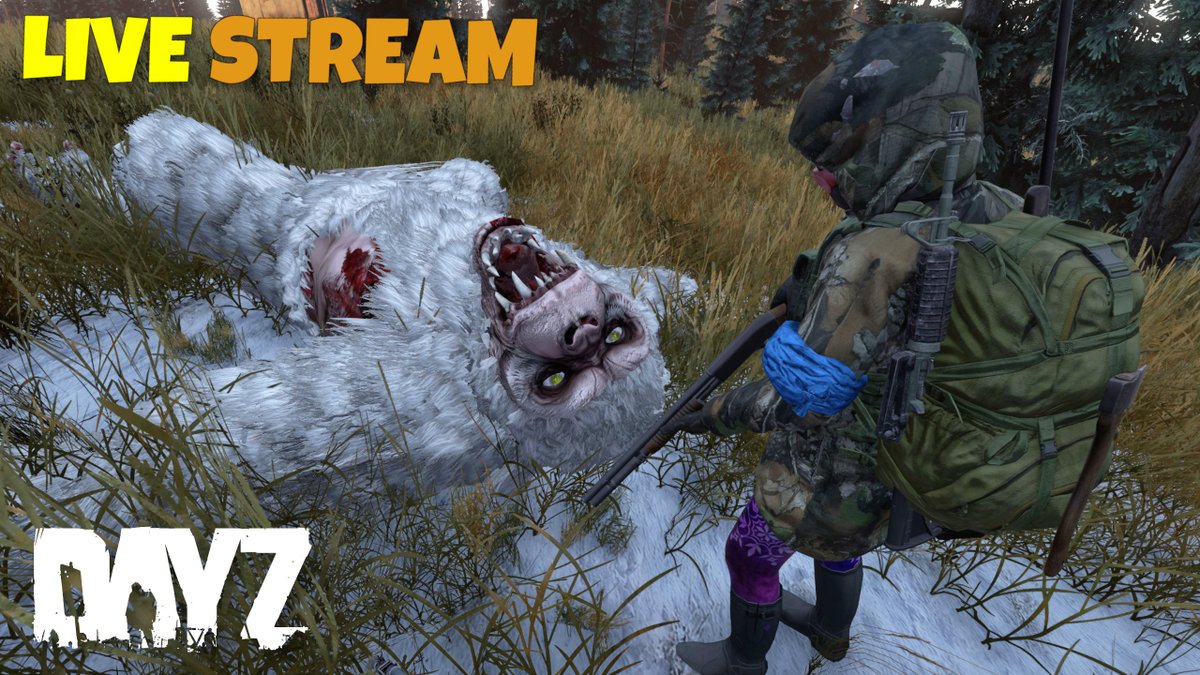 AmishZed tweet media