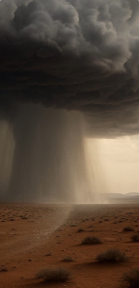 مشعل ف. بن حثلين tweet media