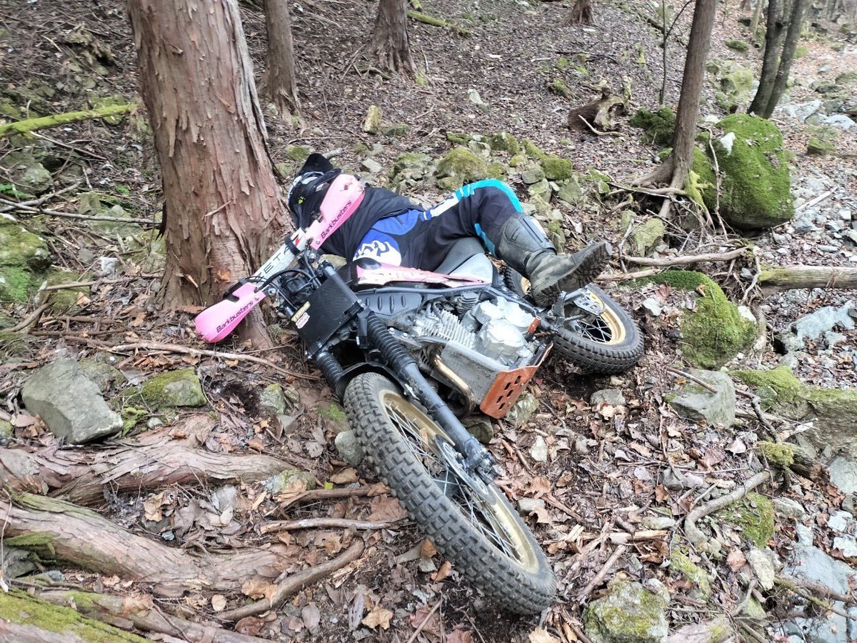 時々私なナリオ tweet media