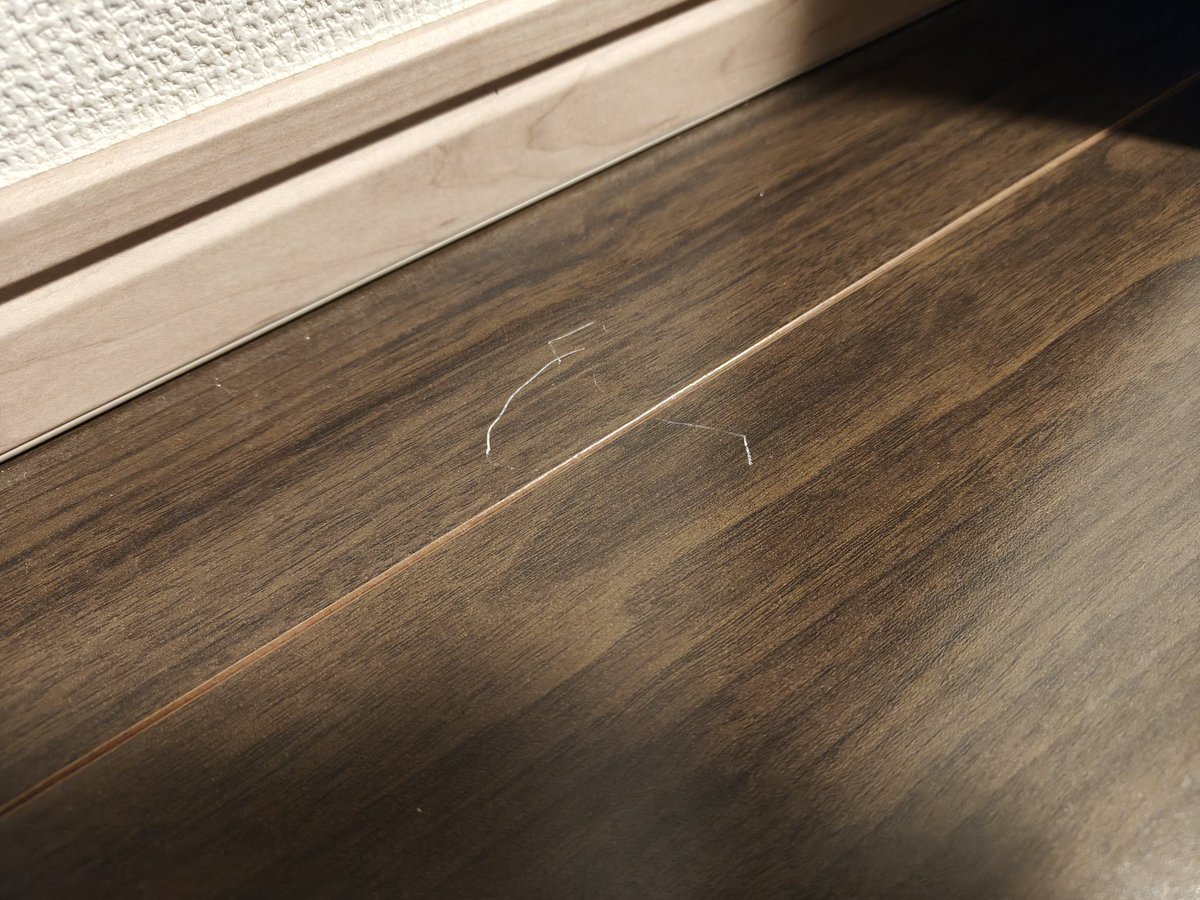 まげお tweet media