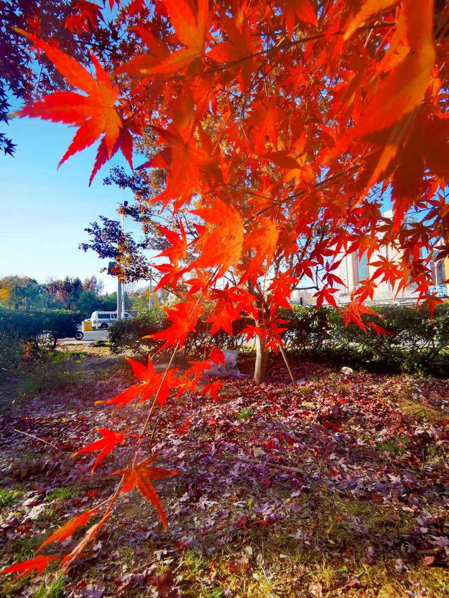 sebastian tweet media