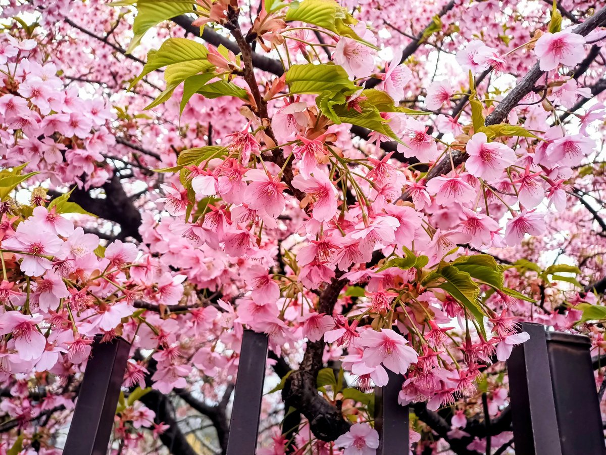じん@なにわのオヤジ🏍人馬一体✨ tweet media