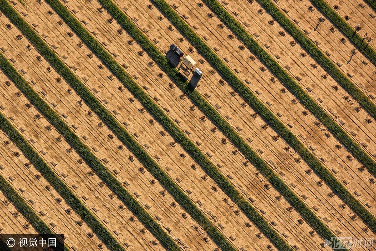 Clare Finnegan Hoang tweet media