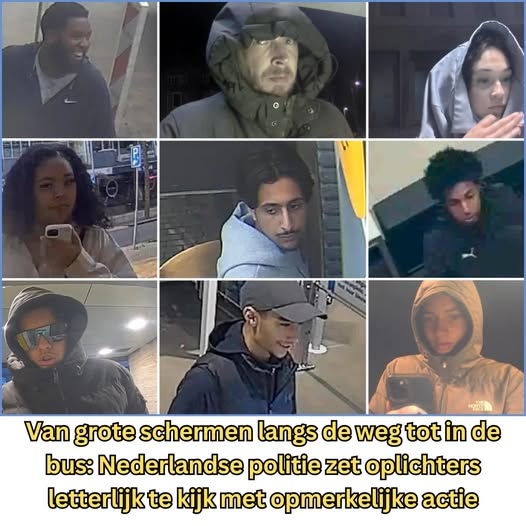 Dolly van den Berg tweet media