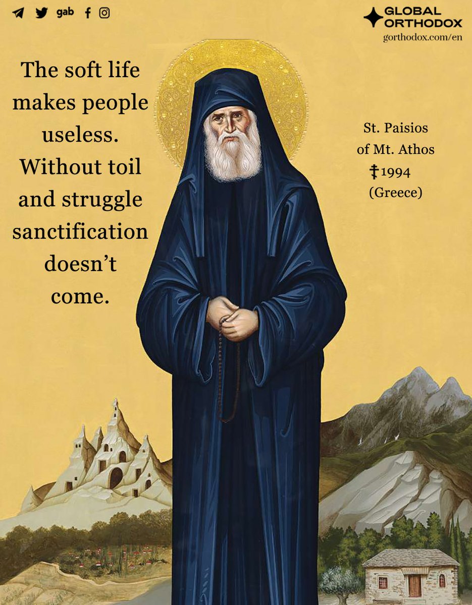 Jonah In Wales 🦊 tweet media