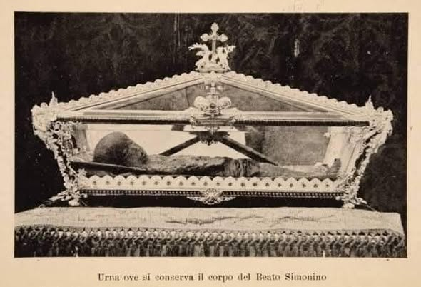 Paracleto4 tweet media