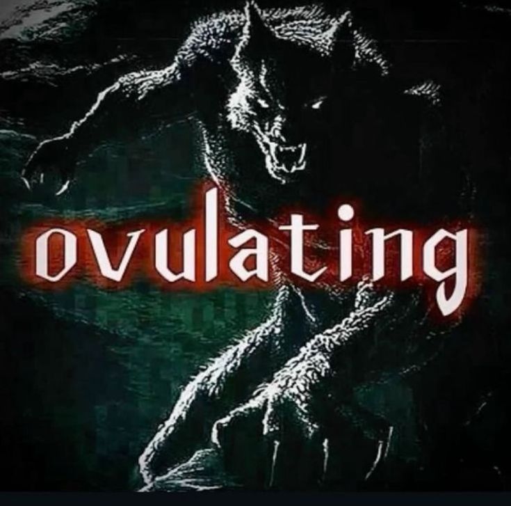 aracely ｡˚❀ ·.ﾟ tweet media