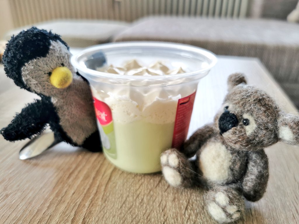 Flori & Konrad tweet media