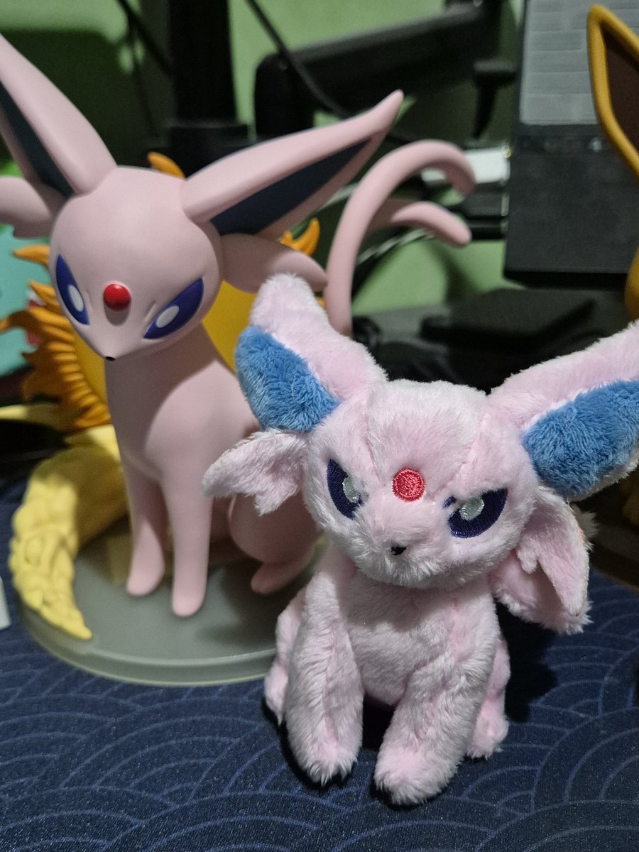 Cyndewquil 🦔🔥 tweet media