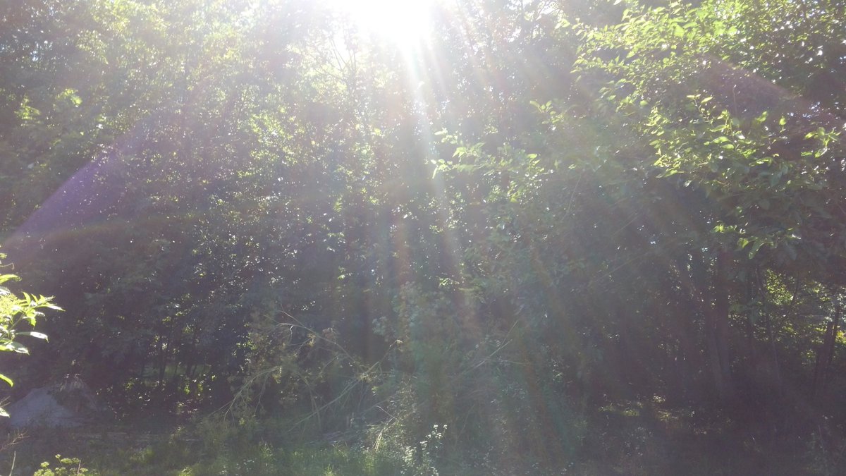 Dr. Marcey Anderson tweet media