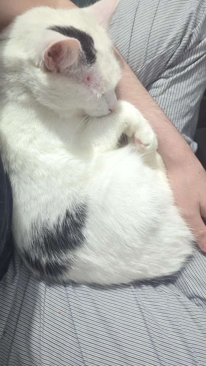 Kyky #MIMI tweet media