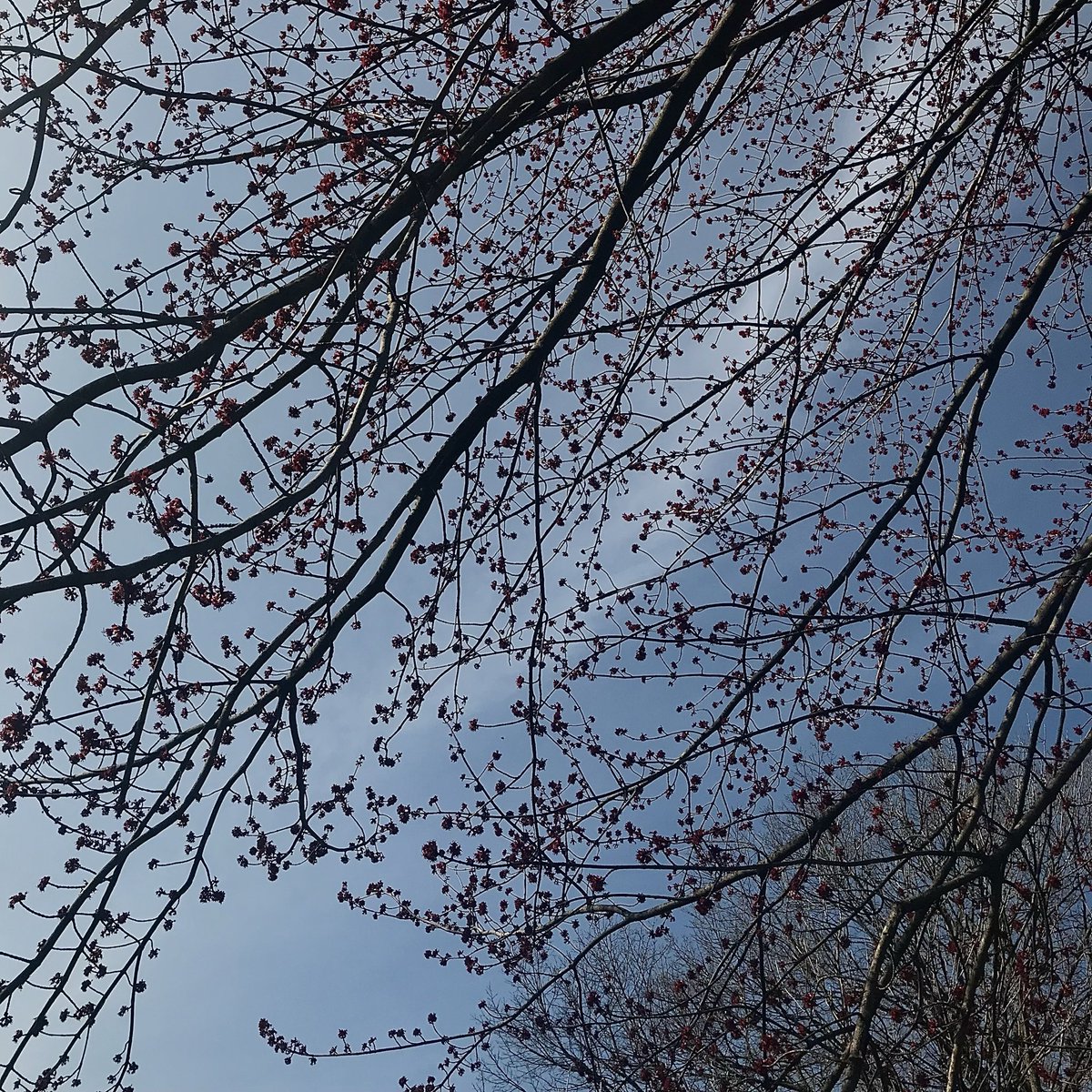 Hannah Taylor tweet media