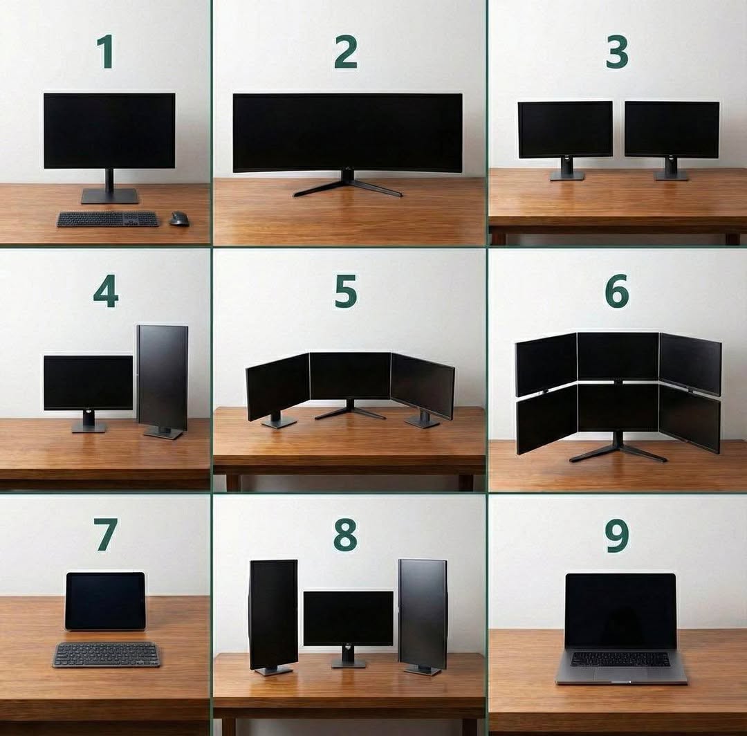 Terminal Root tweet media