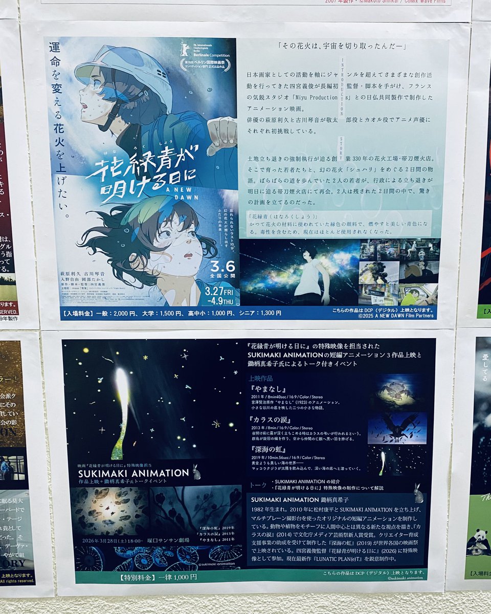 清水 靖幸（ドルフィー２） tweet media