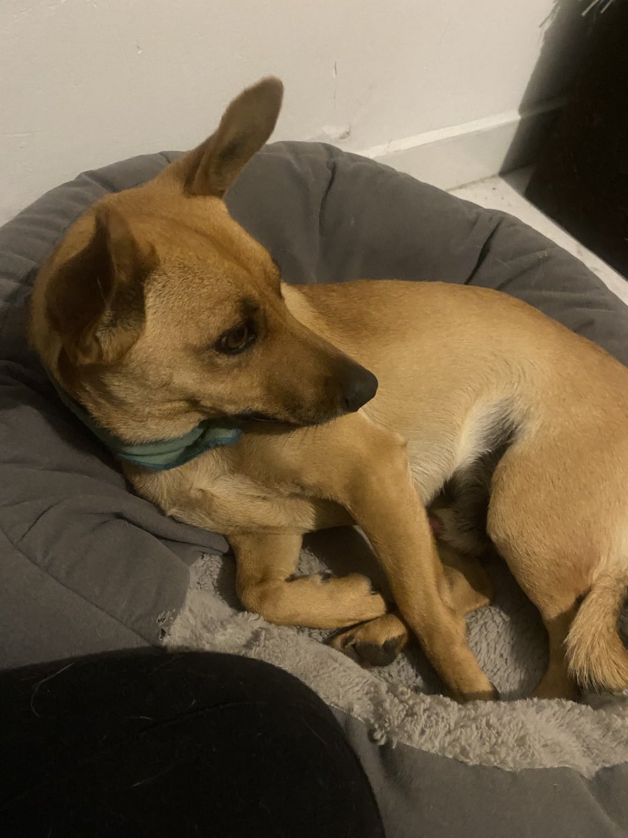 Andrea Barrios tweet media