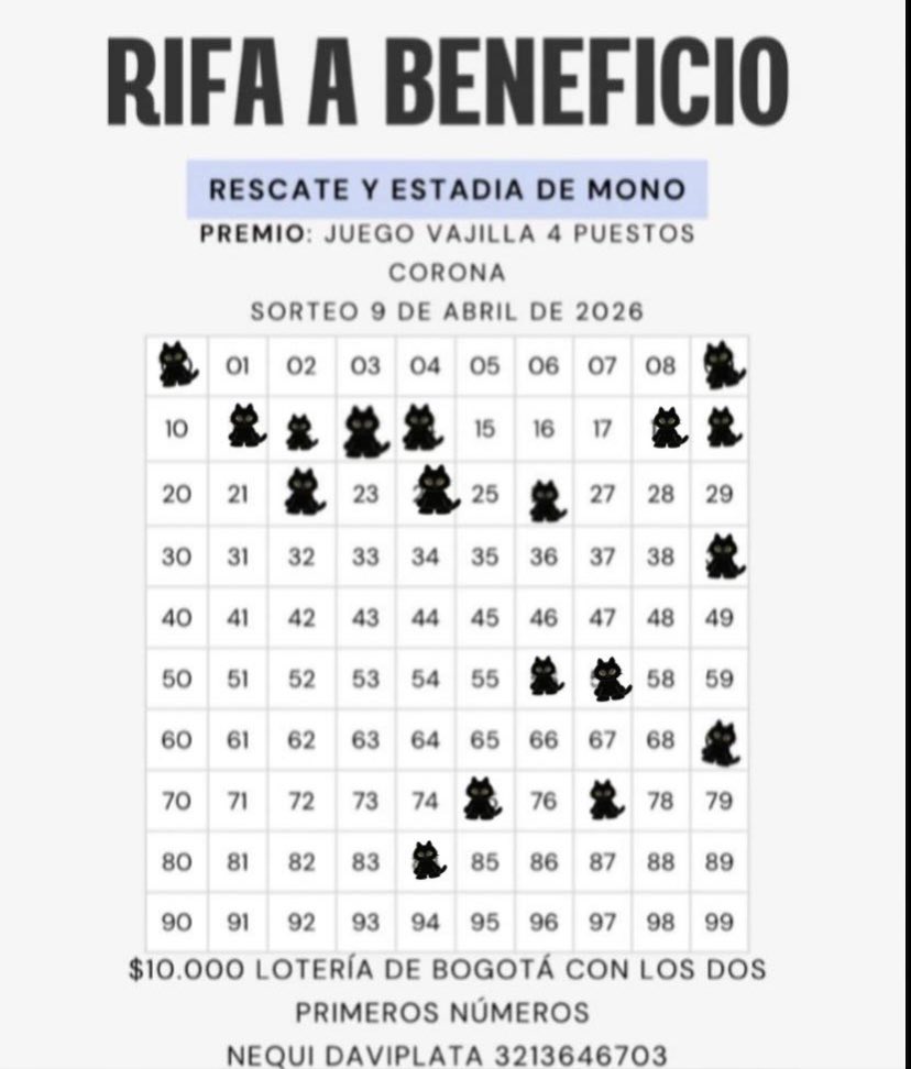 Andrea Barrios tweet media