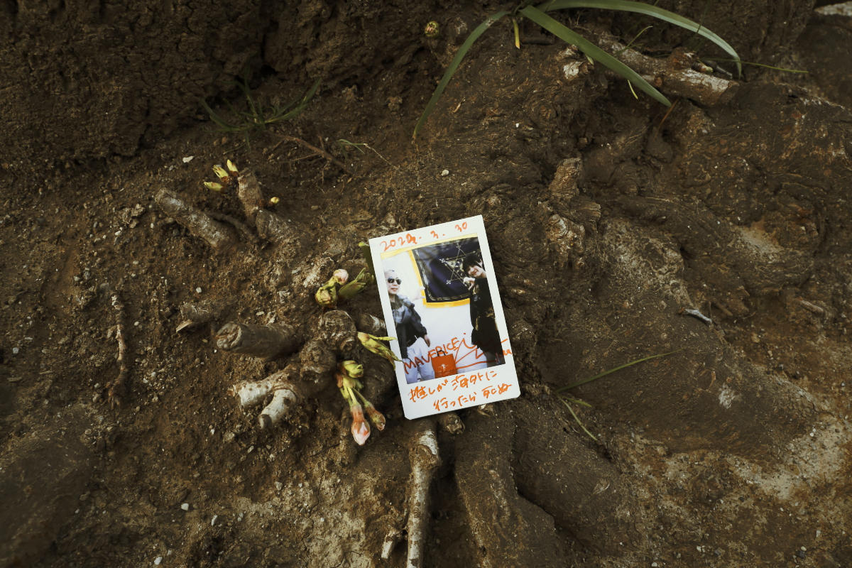 Bailout Hayashi tweet media