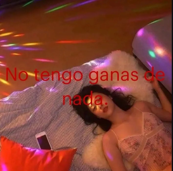 beki ⋆˚꩜｡݁ ˖Ი𐑼⋆ tweet media