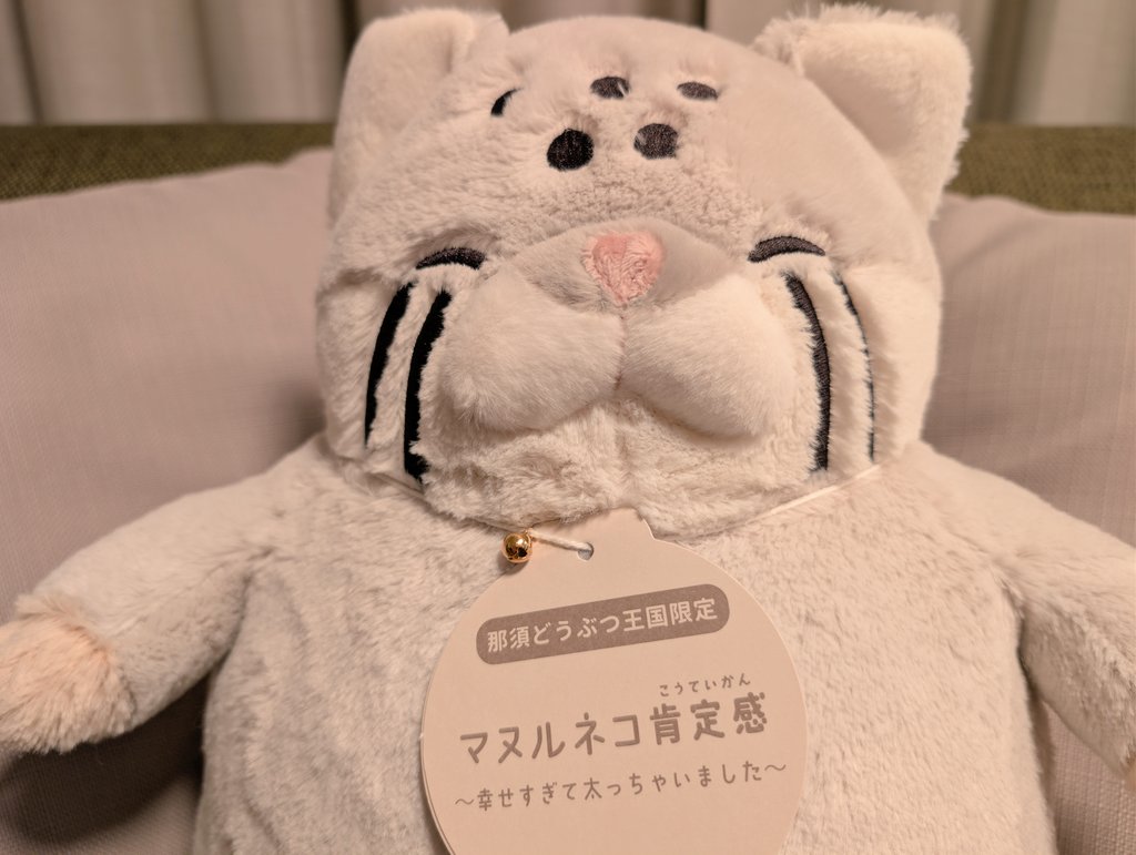 mjm1_std's tweet photo. こちらは先日那須どうぶつ王国から連れ帰ってきたマヌルネコ肯定感。眺めてるだけで多幸感に溢れてくるスゴいヤツさ。 https://t.co/0T1UXjYiY1