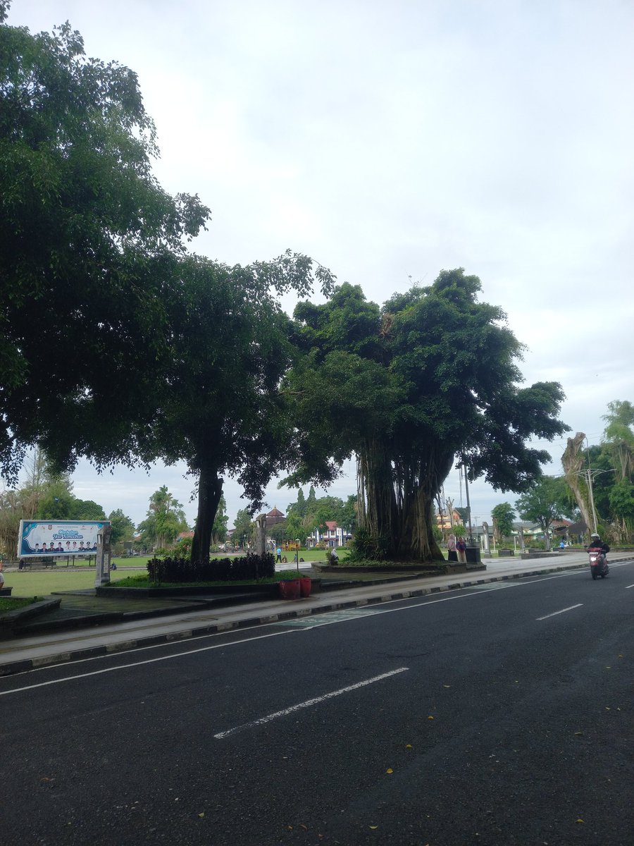 overrated man tweet media