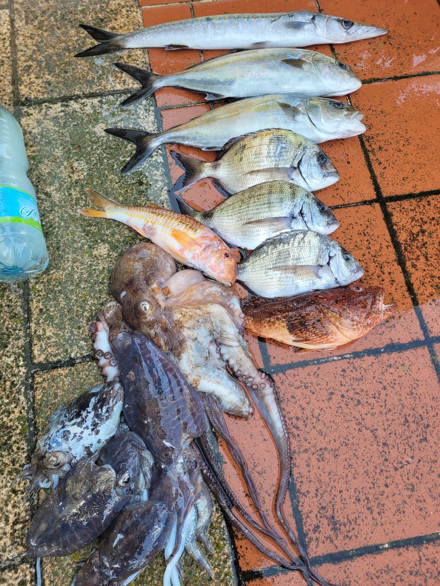 to_chreòn tweet media