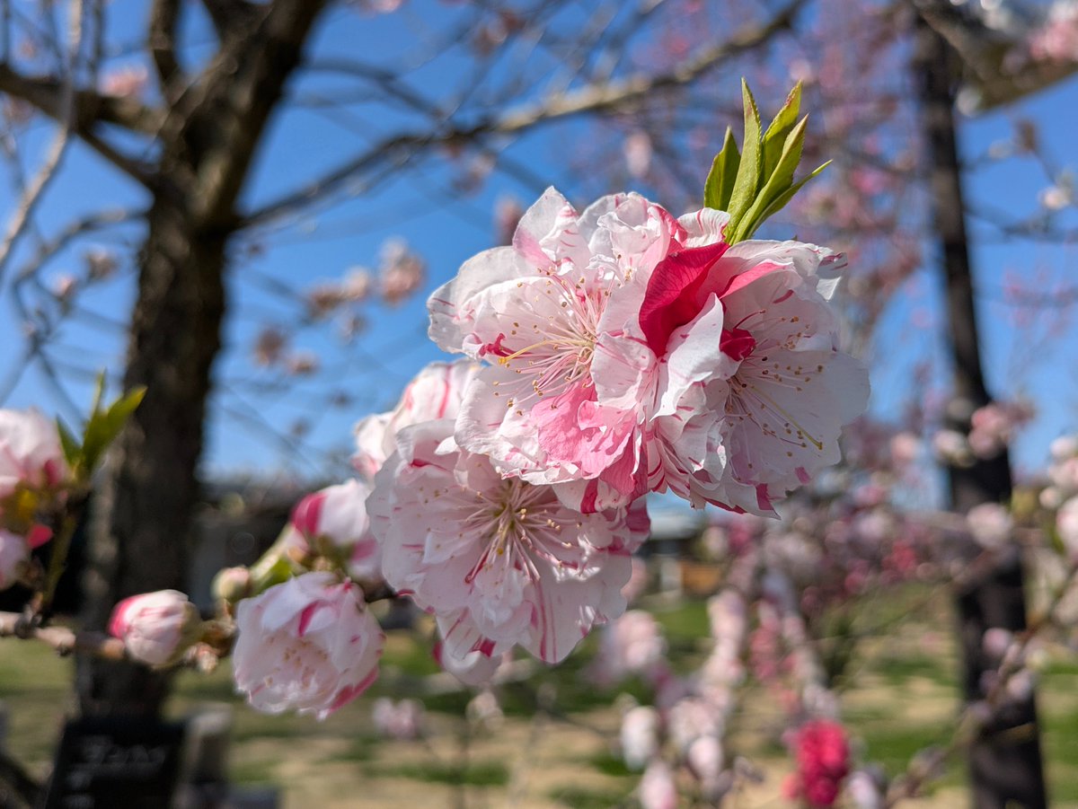 tama💫 tweet media