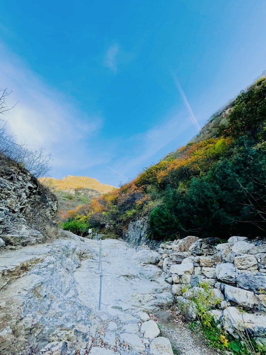 Sham khadgi tweet media