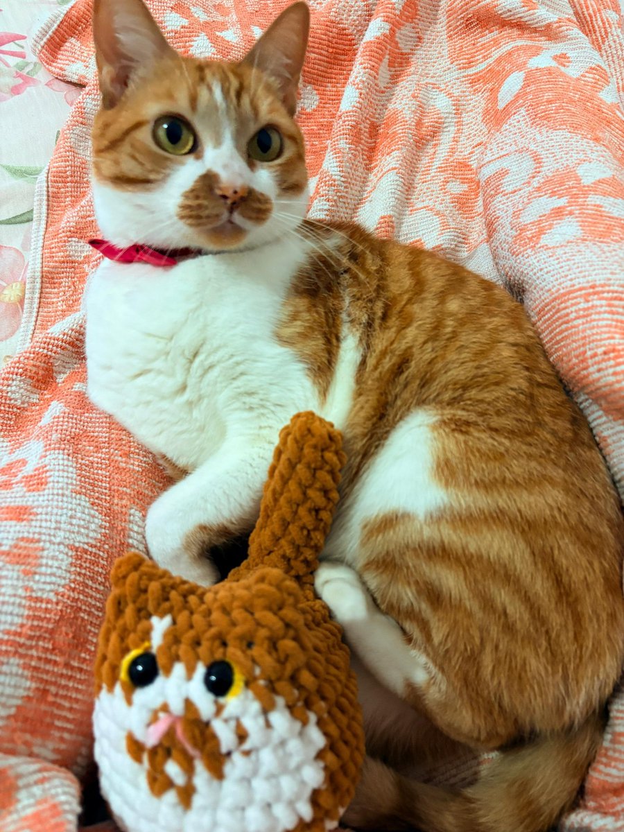 nina 🧶 | encomendas abertas tweet media