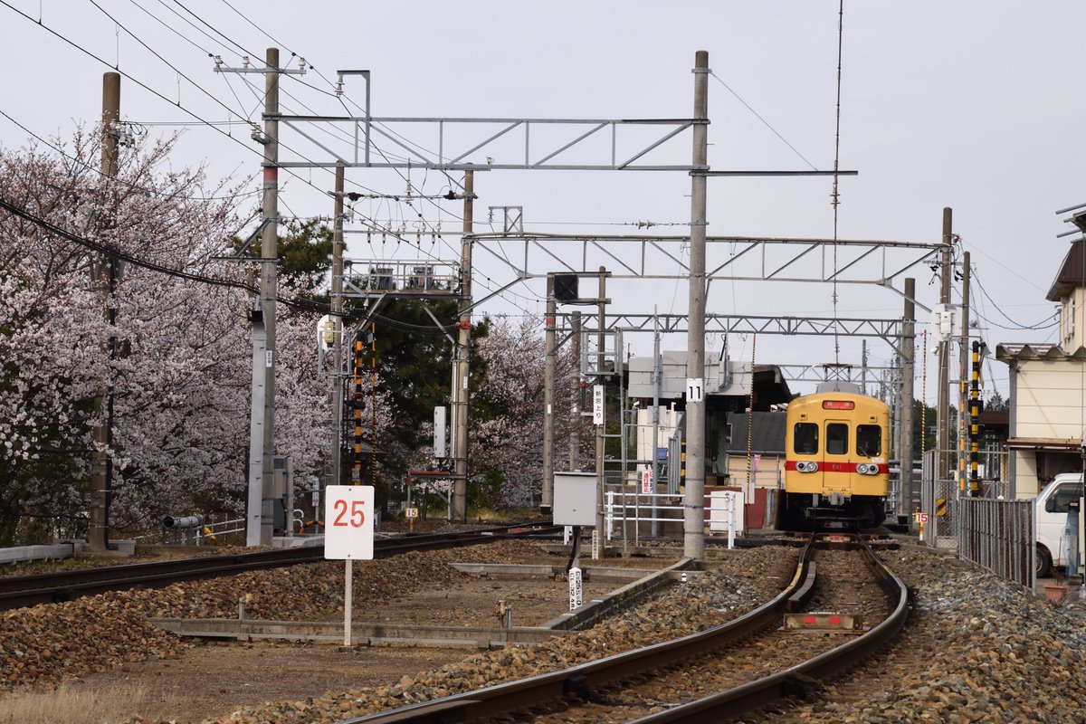 発展著しい新宮町民bot tweet media