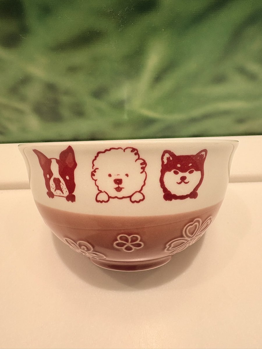 maco@プロカあり tweet media