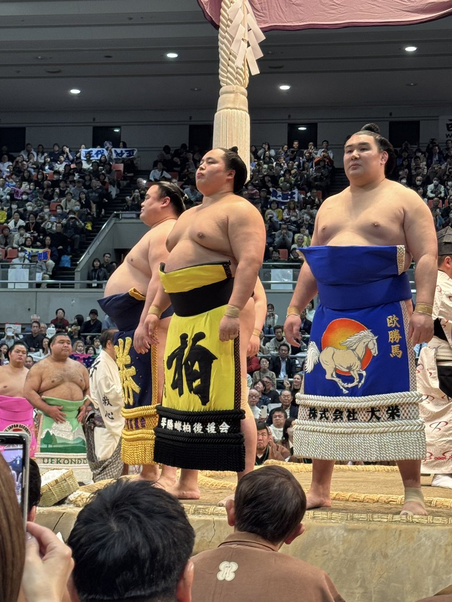 琴勝峰柏後援会 tweet media