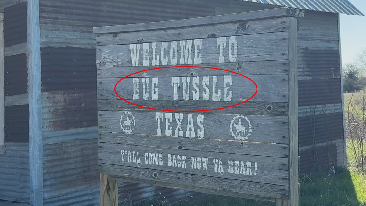 El Becario tweet media