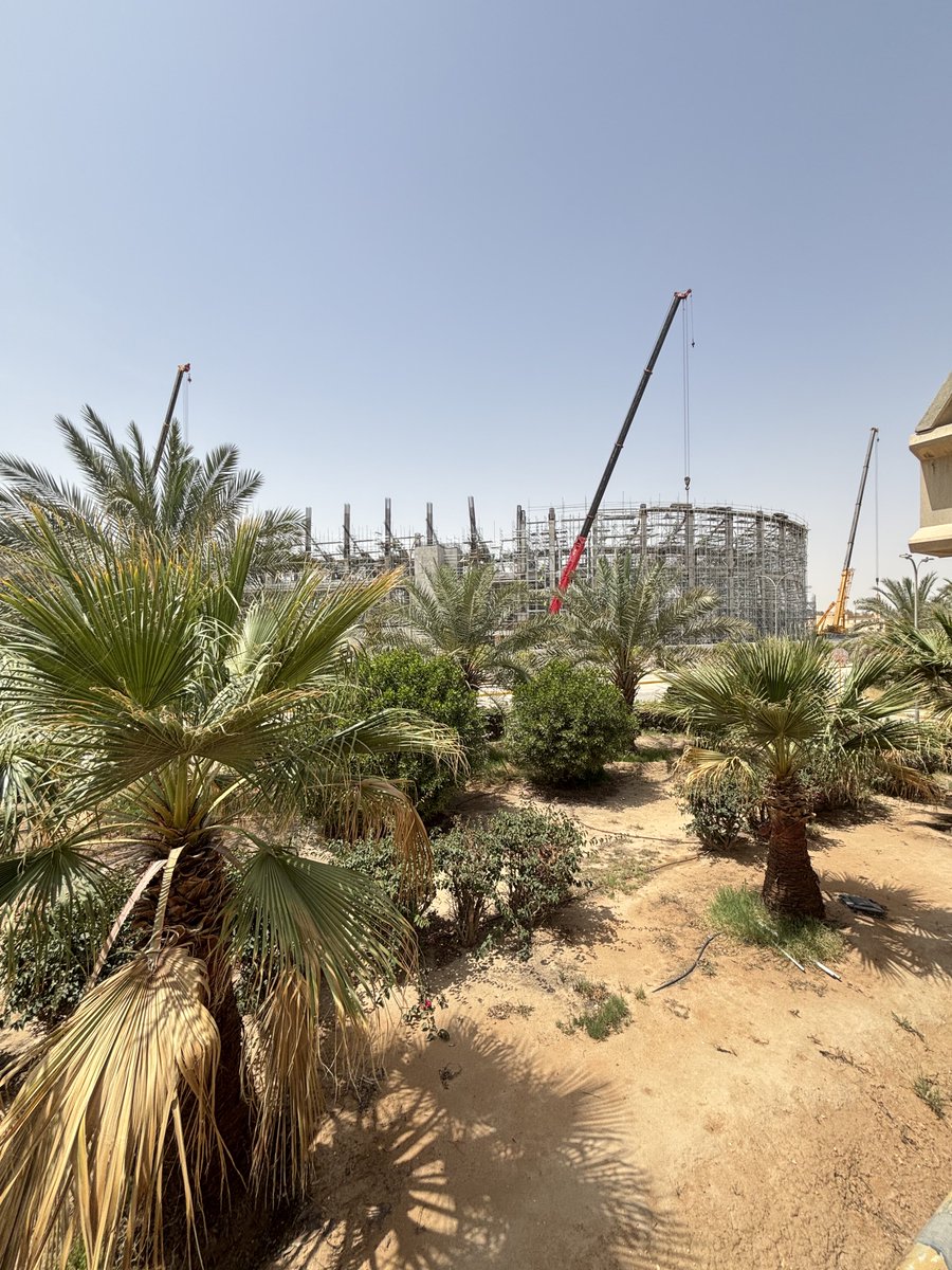 MSkyline tweet media