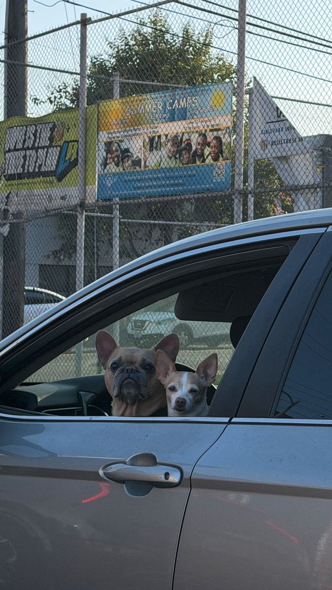 Madison Beer France tweet media