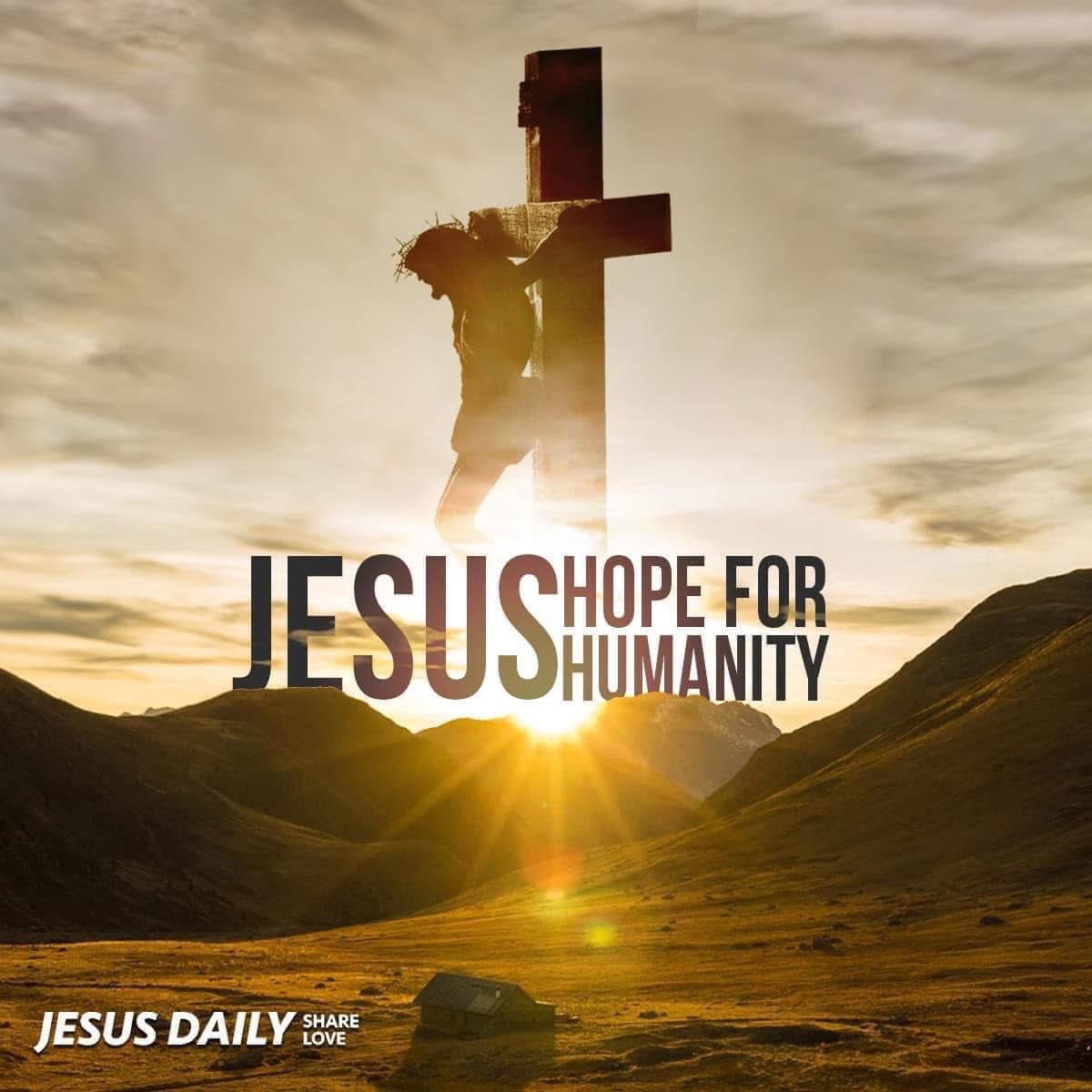 🍃✝️🐾🕊Becky🐾✝️🍃 tweet media