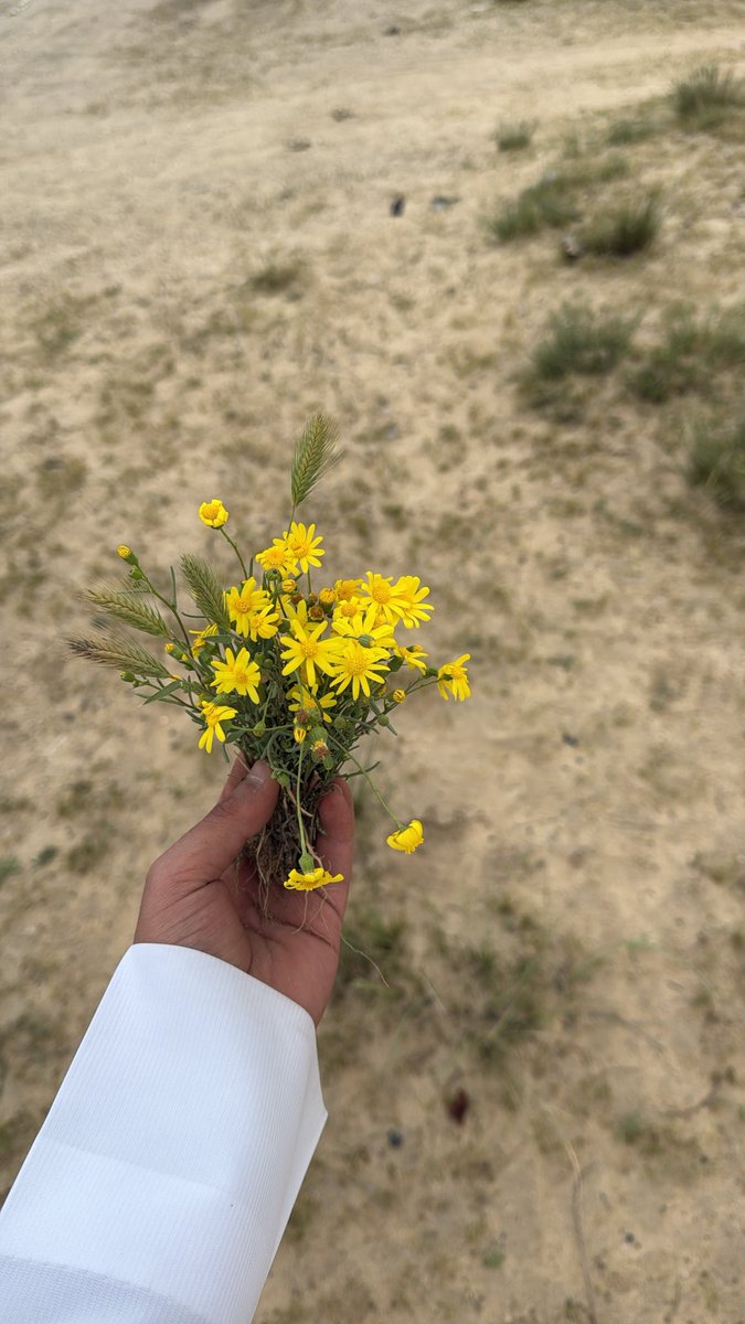 ‏ نِزَار بس مش قباني tweet media