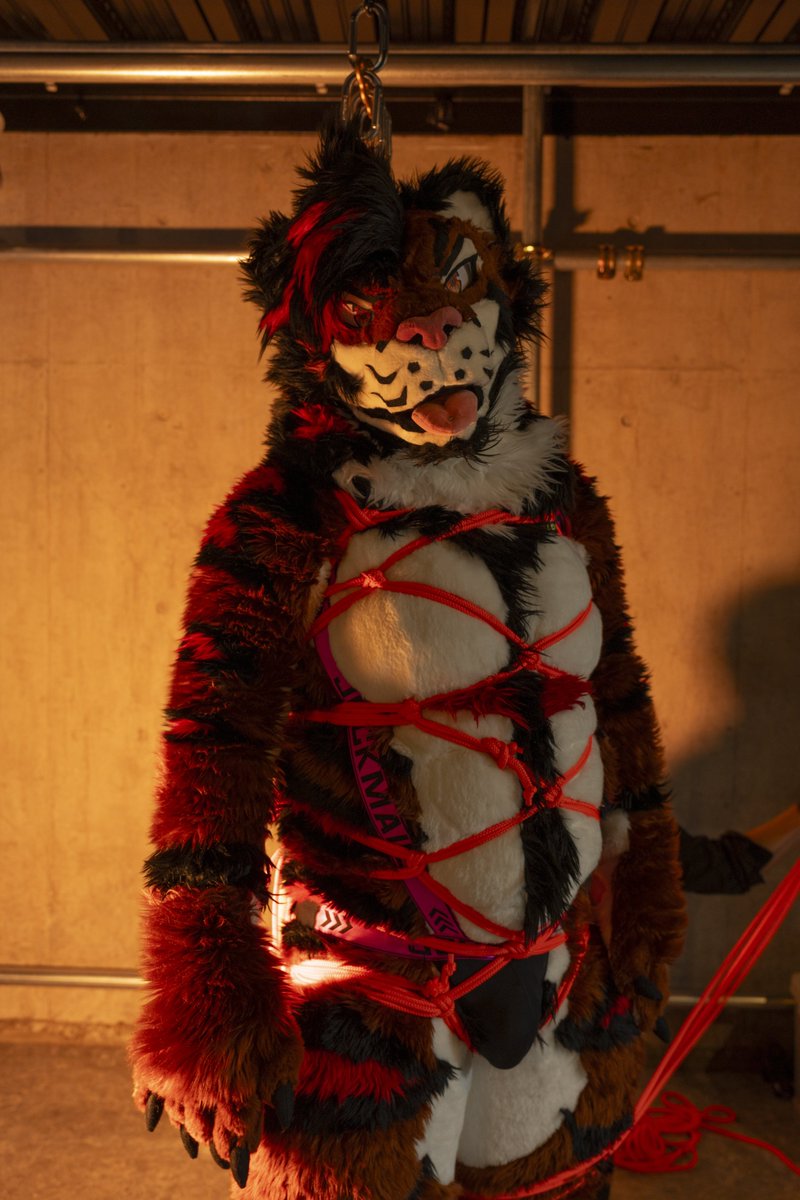 I got some photos taken before putting it on the market.